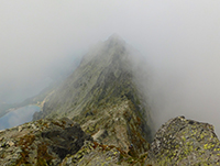 Укротительница Рысей